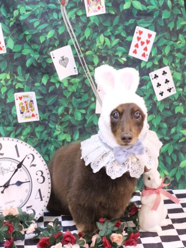 20250419ジョナくん